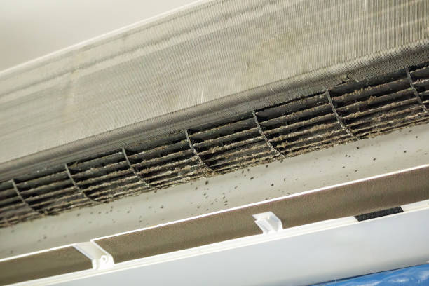Best HVAC Duct Inspection Services  in Haskins, OH