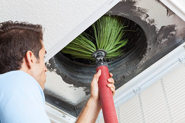 Best Affordable Duct Cleaning Services  in Haskins, OH